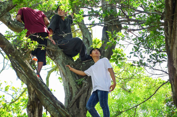 istock Young people enjoy the Parkour 820189294