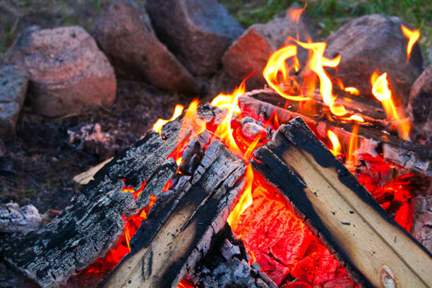 istock The perfect campfire with a ring of stones around it 820199214