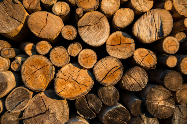 Firewood background stock photo