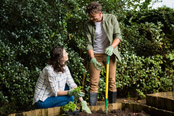 istock Couple interacting with each other while gardening in the garden 820207560