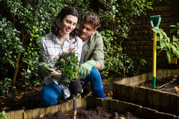 istock Couple holding sapling plant in garden 820209626