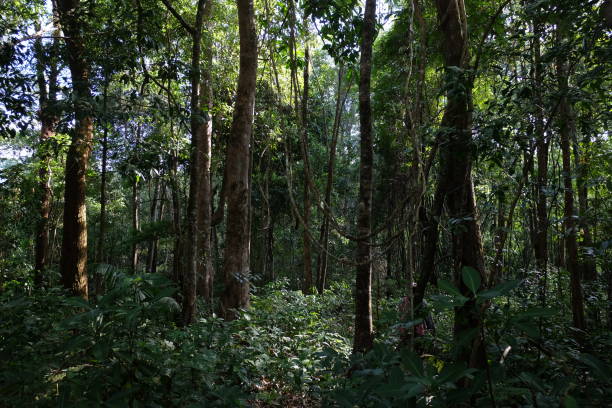 istock Khao Laem National Park, Thailand 820213110
