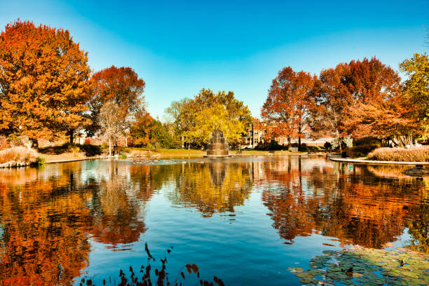 jesień w goodale park w columbus, ohio - orange ohio zdjęcia i obrazy z banku zdjęć