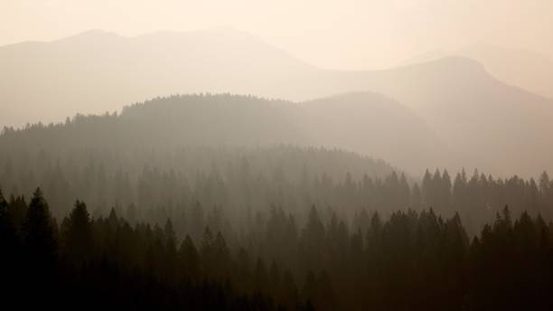 Smokey Scene A smokey landscape during the 2017 British Columbia wildfires. wildfire smoke stock pictures, royalty-free photos & images