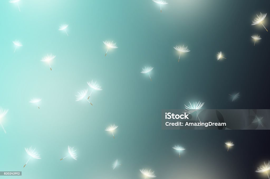 white dandelions. Spring and summer background Abstract Stock Photo