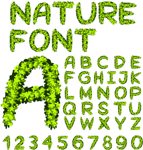 istock Font design for alphabets and numbers in green leaves 820253762