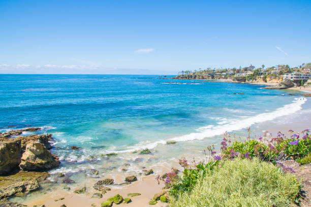 istock Beautiful Heisler Park, Laguna Beach, California 820258538