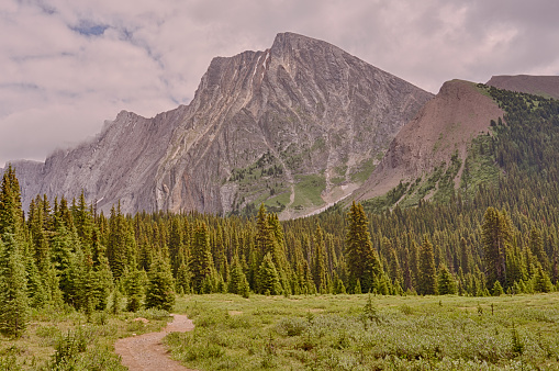 Landscape of Mount Chester with a hiking trail in the foreground, Kananaskis, Alberta