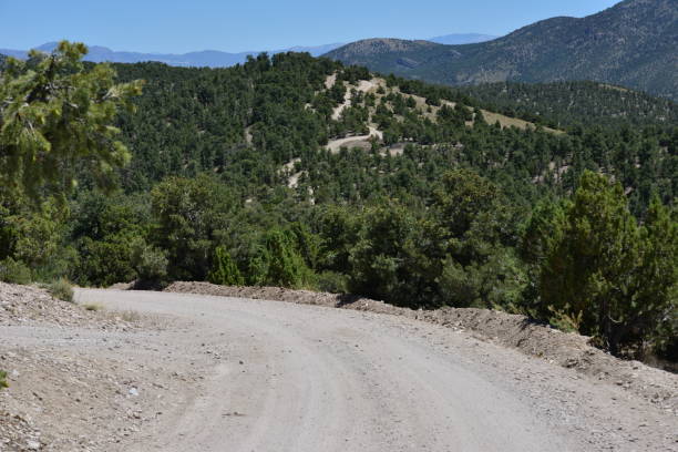 istock A dirt track at Garnet hill at Ely in Nevada. 820261530