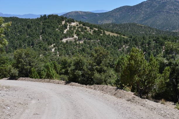 istock A dirt track at Garnet hill at Ely in Nevada. 820262866