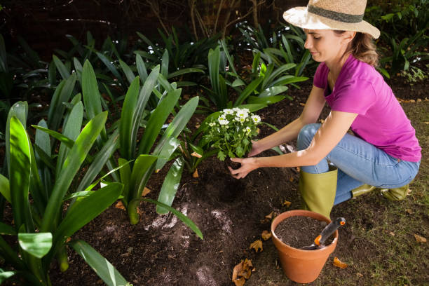 istock High angle view of woman crouching while holding flowers 820269134
