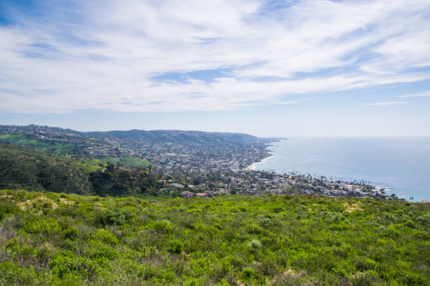 istock Beautiful Lush Laguna Beach, California 820271646