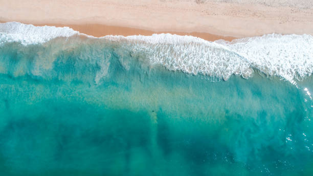 istock Waves in Newport Beach, California 820271794