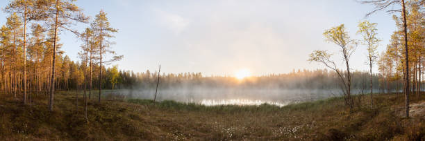 istock Small forest lake at sunrise 820272234
