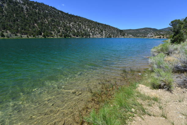 A lake at  state park in Nevada, America.