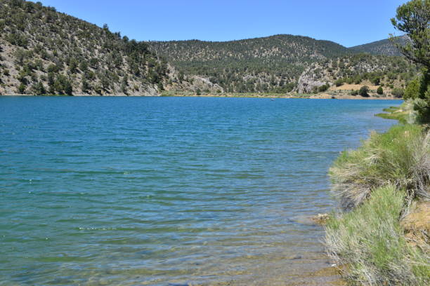 istock A lake at  state park in Nevada, America. 820274904
