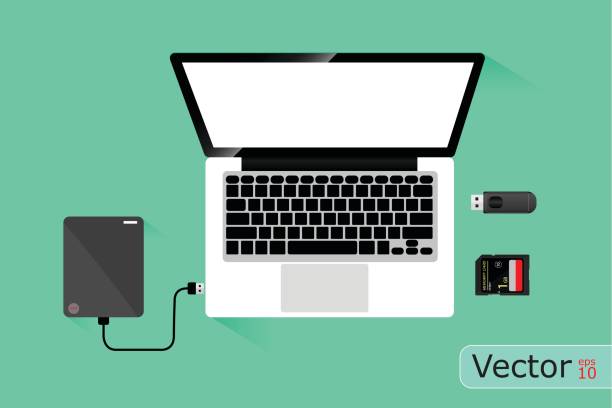 illustrations, cliparts, dessins animés et icônes de ordinateur portable et disque dur de stockage, vector design sur fond vert. - câble usb