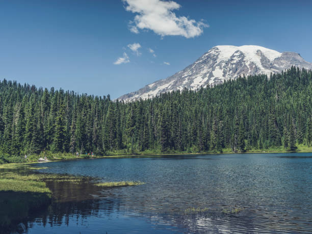 istock snow-capped mount rainier with reflection lake 820282278