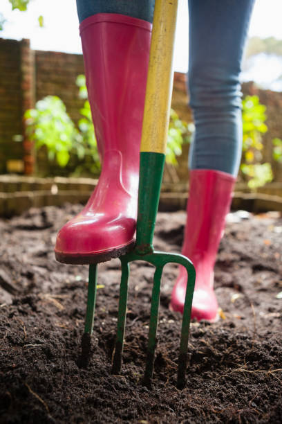 istock Low section of woman wearing pink rubber boot standing with fork on dirt 820285266