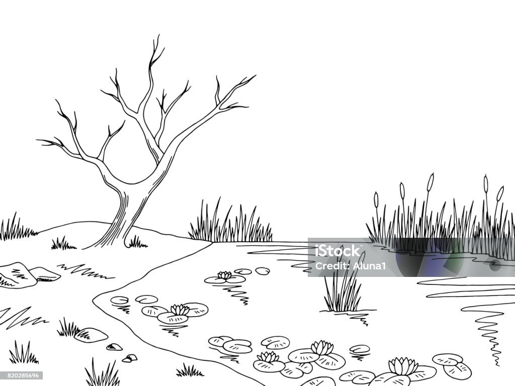 Bog swamp graphic black white landscape sketch illustration vector Doodle stock vector
