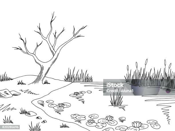 Bog Swamp Graphic Black White Landscape Sketch Illustration Vector Stock Illustration - Download Image Now