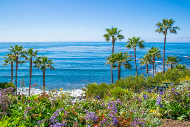 schöne heisler park, laguna beach, kalifornien - orange county california beach stock-fotos und bilder