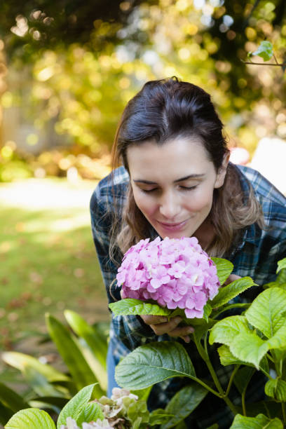 istock Beautiful woman crouching while smelling at purple hydrangea bunch 820288182