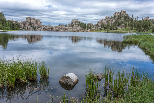 istock Log in the foreground of lake. 820293024