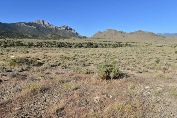 istock Desert of Nevada. 820319516
