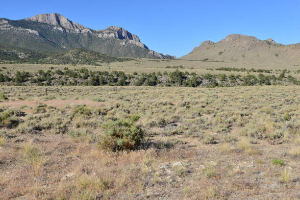 istock Desert of Nevada. 820320266