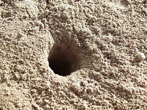 The Crab Hole