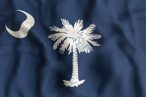 istock South Carolina State flag 820362050