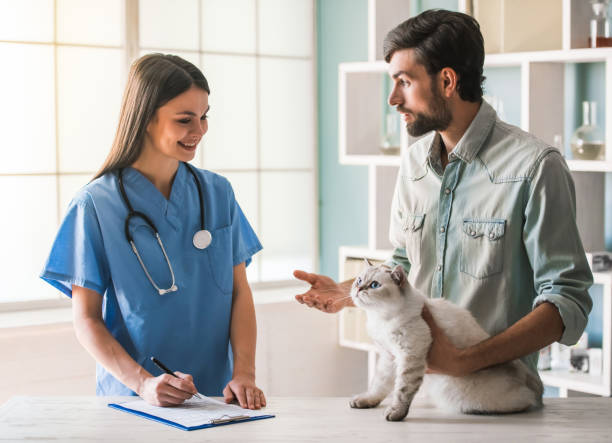 istock At the veterinarian 820362716