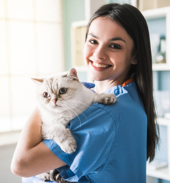 istock At the veterinarian 820366656