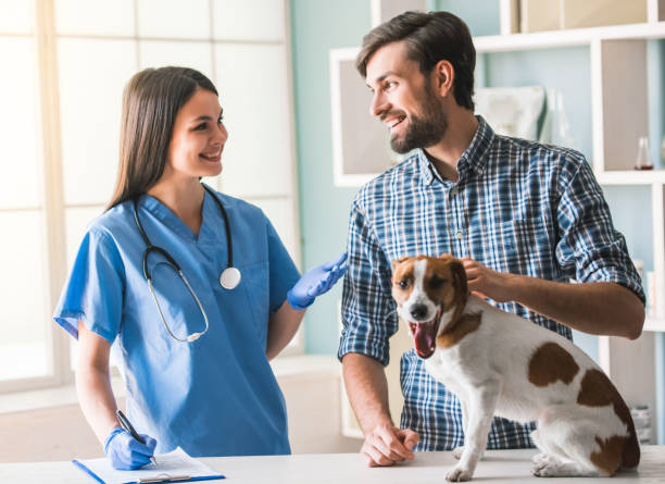 istock At the veterinarian 820366764