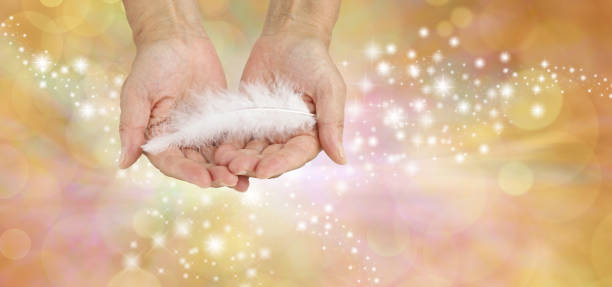 istock White feathers are the calling cards of Angels 820366986