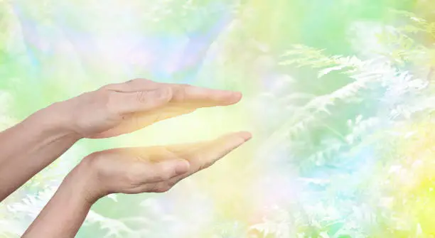 female hands held in parallel position with a golden glow between with a yellow green ethereal woodland background and copy space