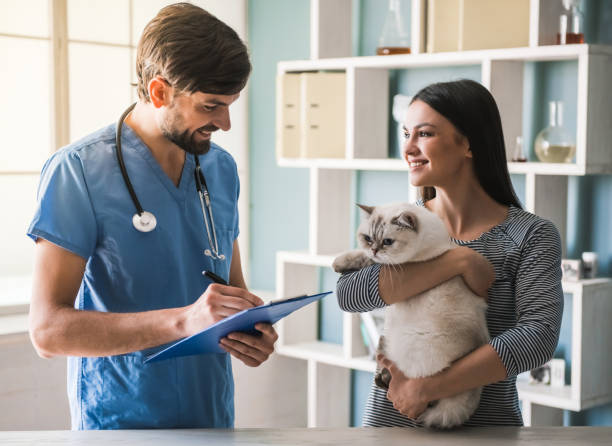 istock At the veterinarian 820369810