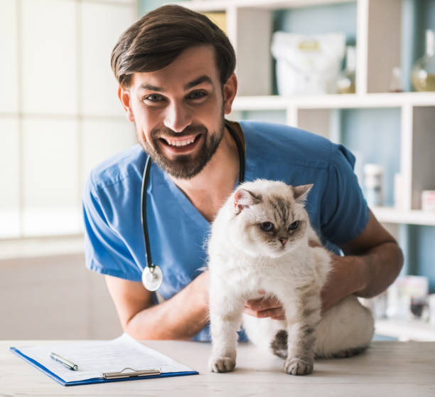 istock At the veterinarian 820371378