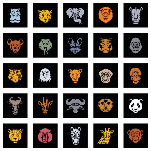 tierische symbol gesichter - elephant head stock-grafiken, -clipart, -cartoons und -symbole