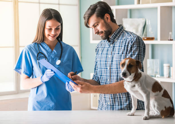 istock At the veterinarian 820374336