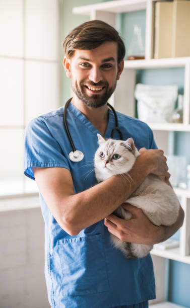 istock At the veterinarian 820375678