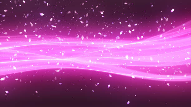 petals of cherry blossom