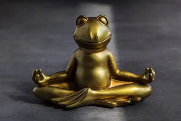 Smiling gold yoga frog meditating in lotus pose. Peace of mind, body and soul, balance and harmony concept.