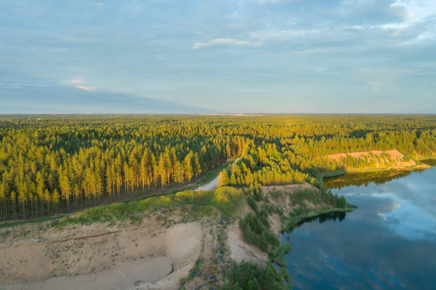 Beautiful sunset over the lake in summer forest. Aerial photography. stock photo