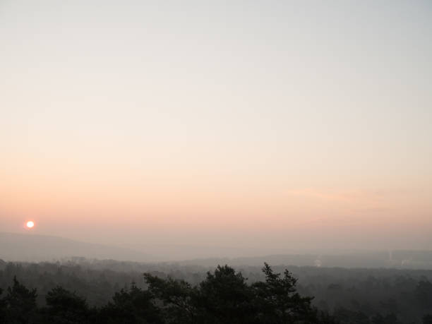 View of the forest of Fontainebleau (France) at the sunrise
