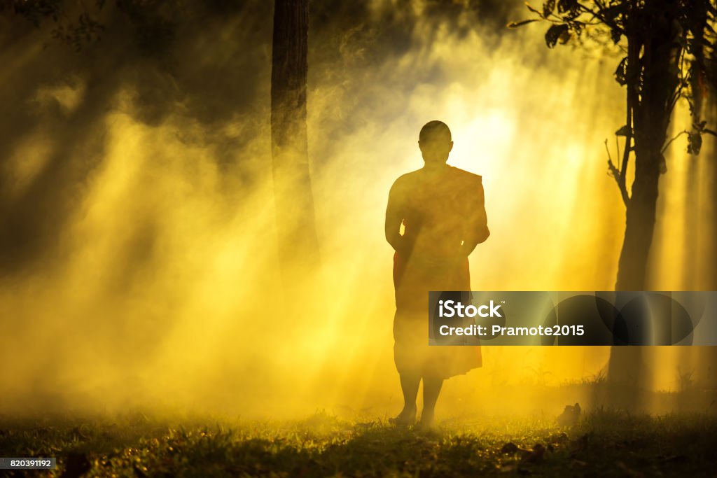 Monk Walking In Temple Meditating Under A Tree At Bangkokbuddhist Temple In  Thailand Stock Photo - Download Image Now - iStock