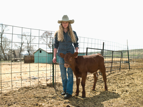 Young cowgirl with 4-H calf on family ranch in Big Timber, Montana