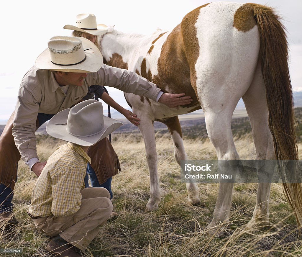 Cowboy father checking horse for parasites Cowboy teaching kids how to check health of horse. Child Stock Photo