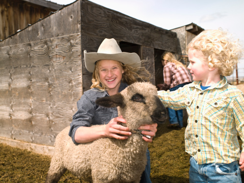 Kids with 4-H lamb on family ranch in Big Timber, Montana